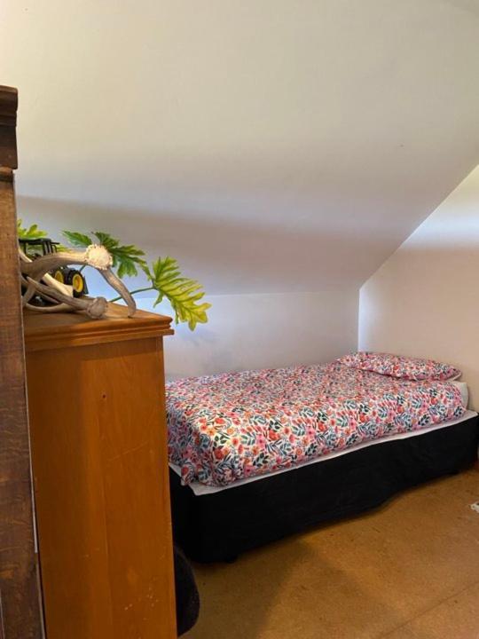 Hadlow Sunrise Retreat 티머루 외부 사진